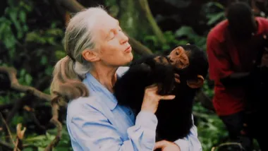 Зображення NBC