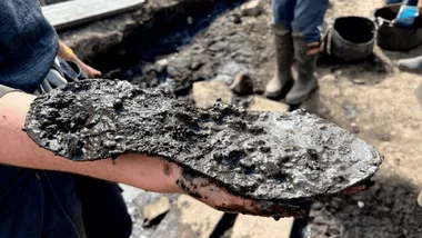 Зображення ZME Science