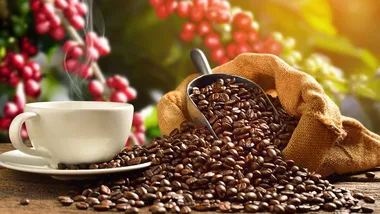 Зображення psypost.org