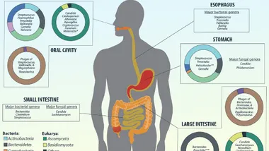 Зображення Sci.News