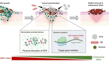 Зображення Phys