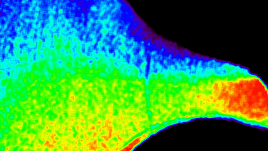 Зображення NASA