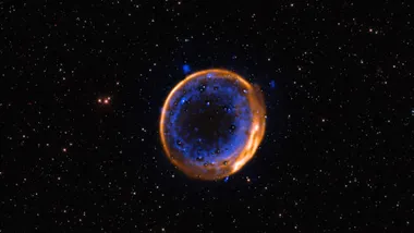 Зображення Sci.News