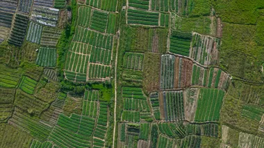 Зображення State of the Planet