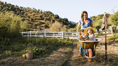 Ілюстративне зображення Freepik