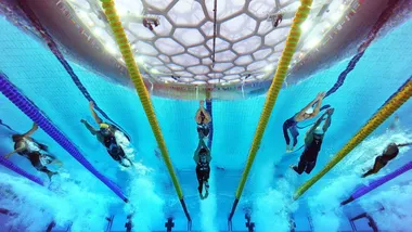 Зображення New Scientist