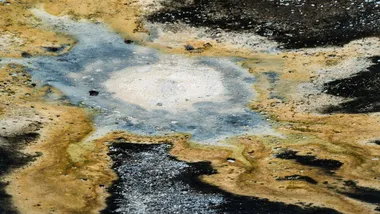 Зображення NYT