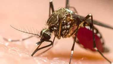 Зображення Watts Up With That？