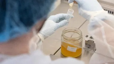 Зображення Phys