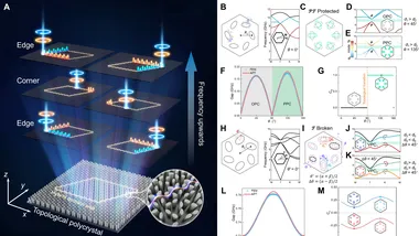 Зображення Phys