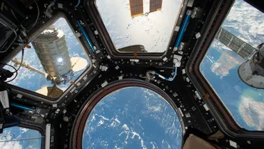 Зображення CC0 Public Domain