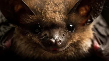 Зображення Freepik