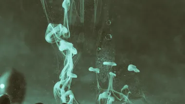 Ілюстративне зображення Freepik