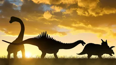 Зображення The Daily Galaxy