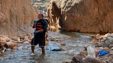 Зображення NYT