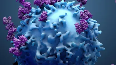 Зображення TS