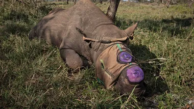 Зображення ZME Science