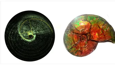 Зображення Capasso Lab / Harvard SEAS