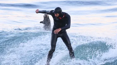 Зображення NYT