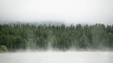 Зображення ZME Science