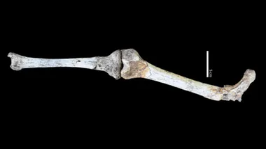 Фото Jason L. Heaton