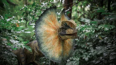 Фото Mehmet Turgut Kirkgoz