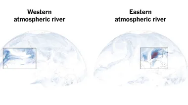 Зображення NYT