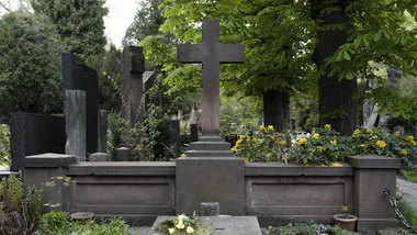 Ілюстративне зображення Freepik