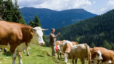 Зображення New Scientist