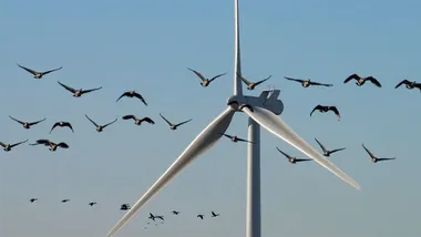 Зображення Watts Up With That？