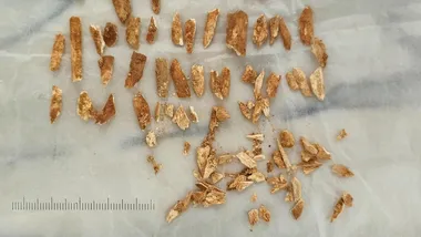 Фото João Zilhão