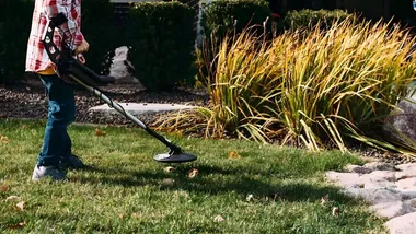 Зображення The Daily Galaxy