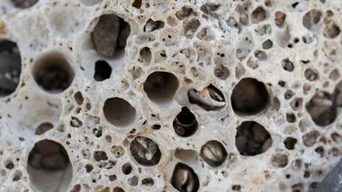 Ілюстративне зображення Freepik