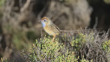 Зображення Phys