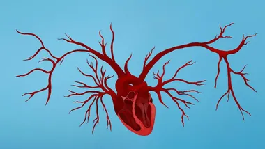 Зображення TS