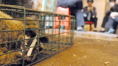 Зображення NYT