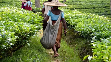 Зображення Phys