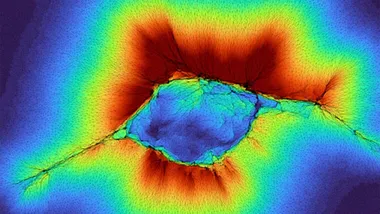 Зображення Futurity