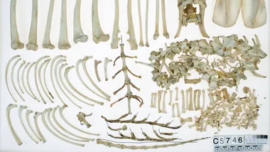 Зображення Phys