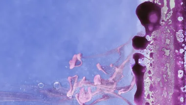 Ілюстративне зображення Freepik