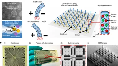 Зображення nature.com