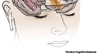 Зображення ZME Science