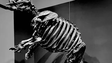 Зображення Yahoo