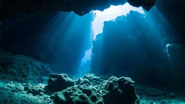 Зображення The Daily Galaxy