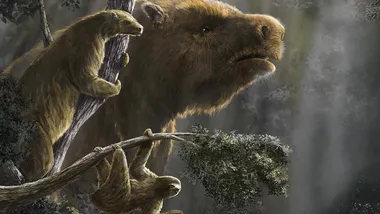 Зображення SciTechDaily