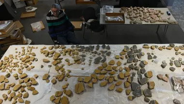 Зображення NYT