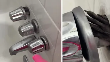 Зображення thedodo.com