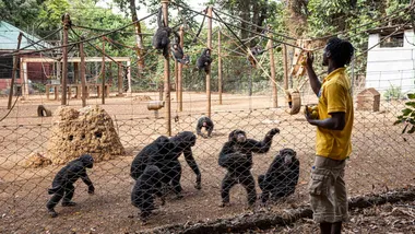 Зображення New Scientist