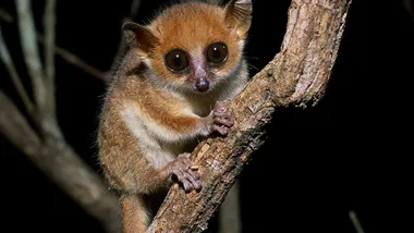 Зображення Phys