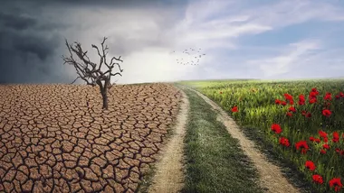 Зображення ZME Science